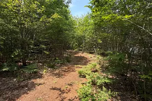 Map 206 Lot 28 Whittier Rd, Tamworth, NH 03890 - Photo 1
