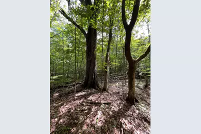 Columbus Jordan Road, Plainfield, NH 03781 - Photo 5