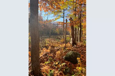 138 Miller Drive, Nelson, NH 03457 - Photo 47