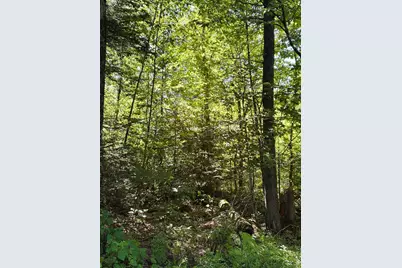 0 Parker Road, Whitefield, NH 03598 - Photo 9