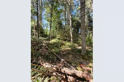 0 Parker Road, Whitefield, NH 03598 - Photo 5