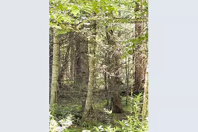 0 Parker Road, Whitefield, NH 03598 - Photo 3