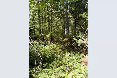 0 Parker Road, Whitefield, NH 03598 - Photo 7