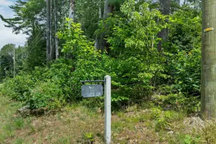 25 South Mayhew Turnpike, Hebron, NH 03241 - Photo 45