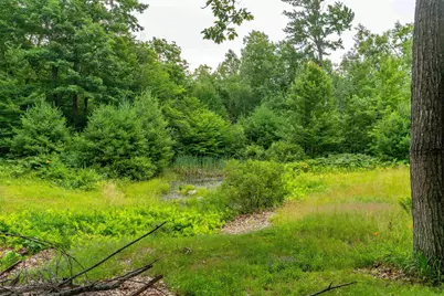 90 Champion Hill Road, Effingham, NH 03882 - Photo 21