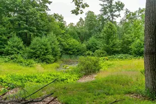 90 Champion Hill Rd, Effingham, NH 03882 - Photo 21