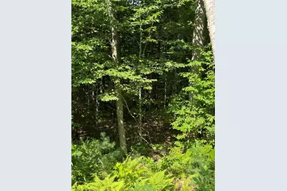 0 North Groton Road, Groton, NH 03241 - Photo 15