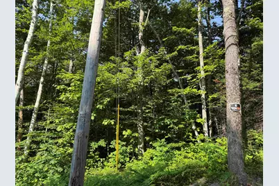 0 North Groton Road, Groton, NH 03241 - Photo 7
