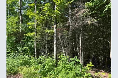 0 North Groton Road, Groton, NH 03241 - Photo 5