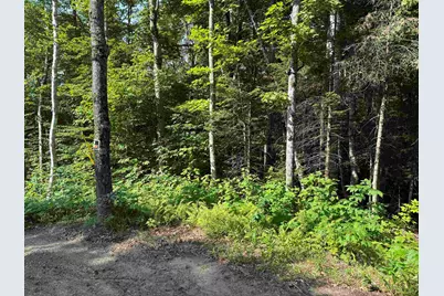 0 North Groton Road, Groton, NH 03241 - Photo 1