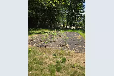 9 Burdett Road, Bartlett, NH 03845 - Photo 35