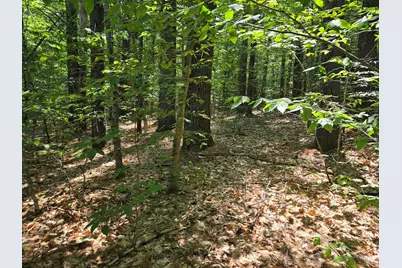Lot 28 Davis Hill Road #28, Conway, NH 03813 - Photo 5