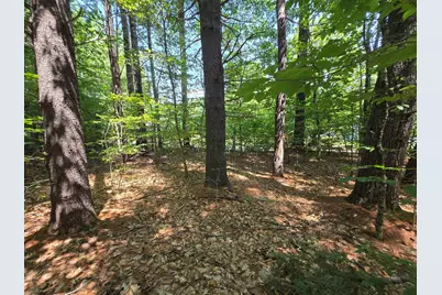 Lot 27 Davis Hill Road, Conway, NH 03813 - Photo 7