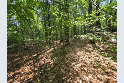Lot 27 Davis Hill Road, Conway, NH 03813 - Photo 3
