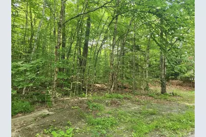 0 Beechwood Drive, Cornish, NH 03745 - Photo 3