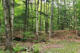 0 Beechwood Dr, Cornish, NH 03745 - Photo 1