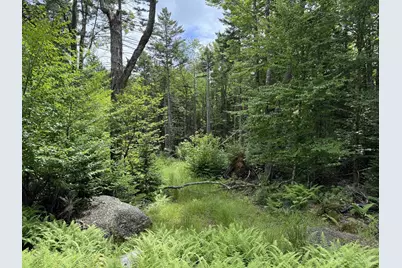 14-74 Grant Road, Washington, NH 03280 - Photo 3