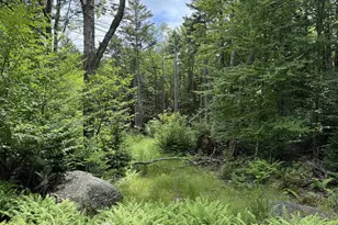 14-74 Grant Rd, Washington, NH 03280 - Photo 3