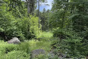 14-74 Grant Rd, Washington, NH 03280 - Photo 1