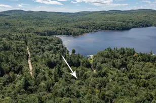 110 McKinley Dr, Washington, NH 03280 - Photo 31