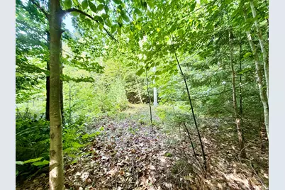 Lee Brook Road, Thornton, NH 03223 - Photo 1