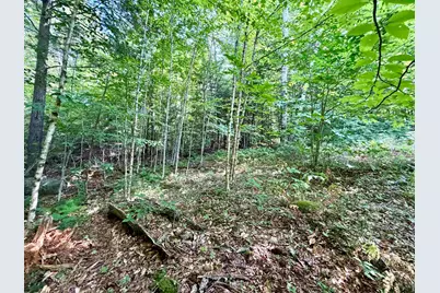 Lee Brook Road, Thornton, NH 03223 - Photo 3