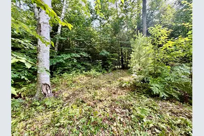 Lee Brook Road, Thornton, NH 03223 - Photo 5