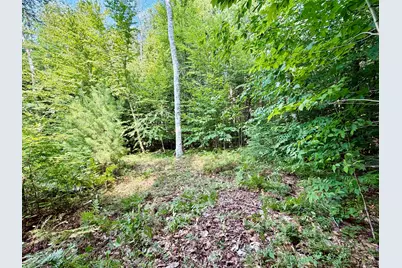 Lee Brook Road, Thornton, NH 03223 - Photo 9