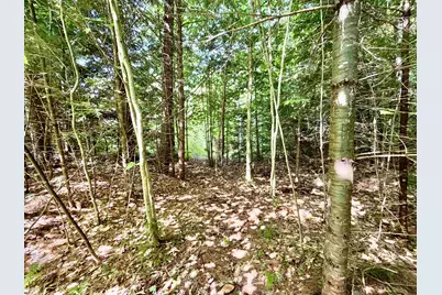 Lee Brook Road, Thornton, NH 03223 - Photo 7
