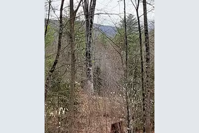24 Stage Road, Lempster, NH 03605 - Photo 15