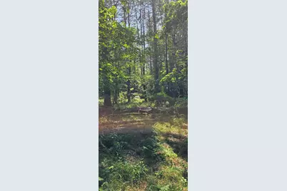 492 Moultonboro Neck Road, Moultonborough, NH 03254 - Photo 3