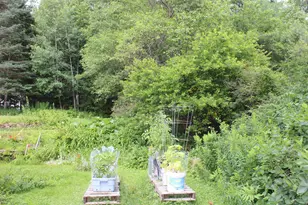 8 Holly Heights, Whitefield, NH 03598 - Photo 43