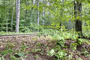 32 Circle Rd, Ossipee, NH 03814 - Photo 53