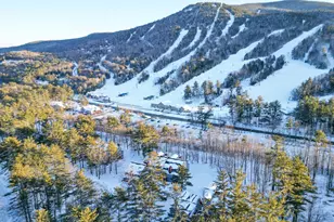 8T River Run Dr, Bartlett, NH 03812 - Photo 43