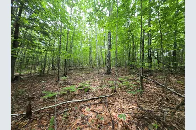 Lot 11 Brownfield Road, Conway, NH 03813 - Photo 15