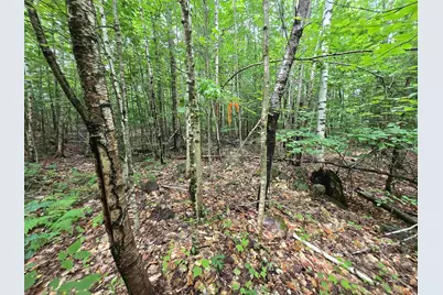 Lot 11 Brownfield Road, Conway, NH 03813 - Photo 13