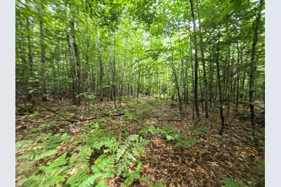 Lot 11 Brownfield Road, Conway, NH 03813 - Photo 11