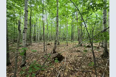 Lot 11 Brownfield Road, Conway, NH 03813 - Photo 19