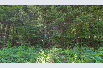 148 Summit View Drive, Tamworth, NH 03886 - Photo 51