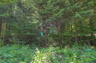 148 Summit View Dr, Tamworth, NH 03886 - Photo 51