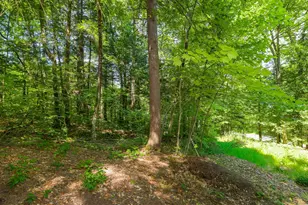 148 Summit View Dr, Tamworth, NH 03886 - Photo 45