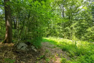 148 Summit View Dr, Tamworth, NH 03886 - Photo 39