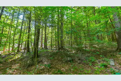 148 Summit View Drive, Tamworth, NH 03886 - Photo 41