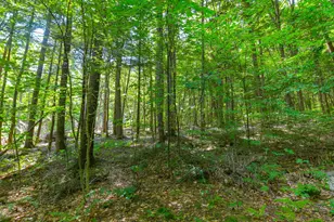 148 Summit View Dr, Tamworth, NH 03886 - Photo 41