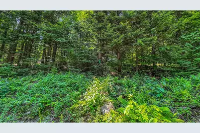 148 Summit View Drive, Tamworth, NH 03886 - Photo 29