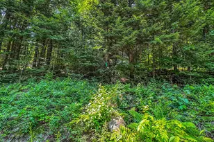 148 Summit View Dr, Tamworth, NH 03886 - Photo 29