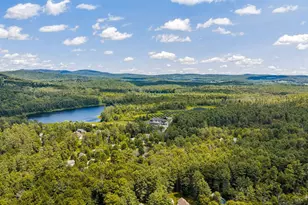 40 Camp Brook Common, Hanover, NH 03755 - Photo 33