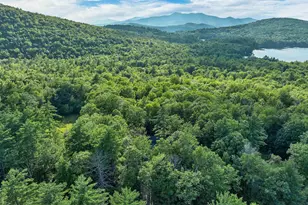 13 Chestnut Ln, Madison, NH 03849 - Photo 19