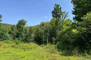 Lot 154-2 Old Mountain Rd, Moultonborough, NH 03254 - Photo 1