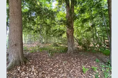 96 Nelson Hill Road, Sutton, NH 03221 - Photo 5